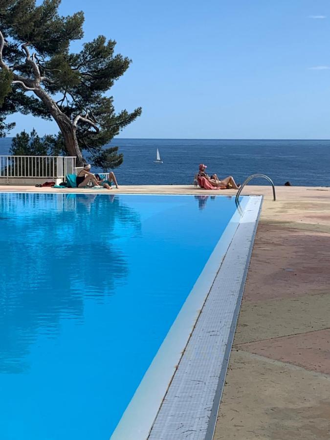Horizon Bleu Bandol : Appartement Pieds Dans L'Eau Exteriör bild