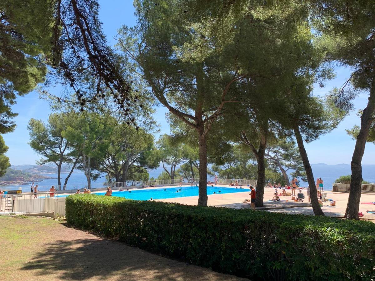 Horizon Bleu Bandol : Appartement Pieds Dans L'Eau Exteriör bild